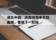 乐动体育平台-包含湖北中国：济南绿地申花双曲线，晋级下一阶段的词条