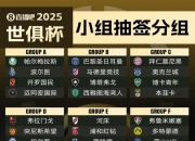 乐动体育官方入口-世俱杯最新新闻头条汇总(世俱杯2021参赛俱乐部)