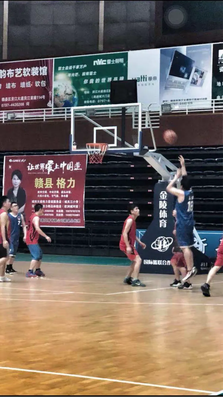 台湾篮球联盟正式成立致力提升篮球水平